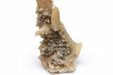 Cave Calcite Stalactite with Sharp Calcite Flower - Wenshan Mine #223530-2